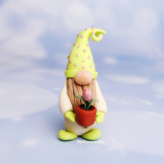 Miniature Gnome (Gonk) 'Tulippo' with Plant Tulip
